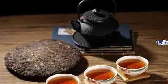 普洱茶，越久越好吗？——一次关于时间与风味的探索