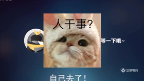 火箭vs鹌鹑直播视频回放，一场让我从凌晨三点笑到天亮的比赛