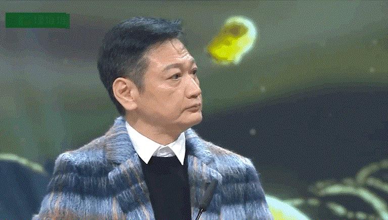 叶童现身歌手现场，一场跨越岁月的音乐盛宴