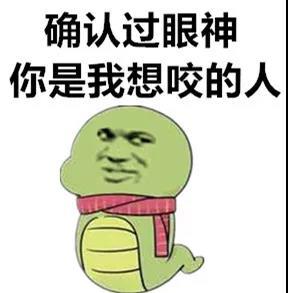 夏天被蛇咬，我劝你别学影视剧