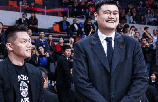 维金斯2026赛季数据，一场篮球迷的期待