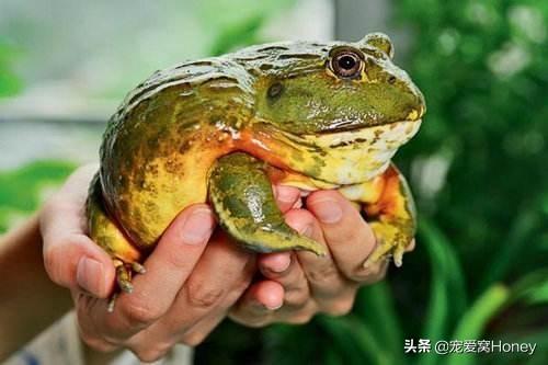 你的感觉没错，极端天气越来越常见了