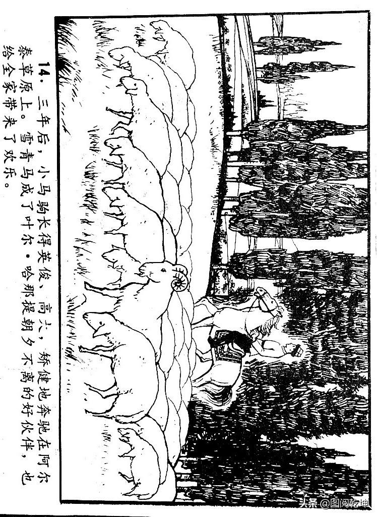 飞马vs骑士视频直播，一场篮球迷的狂欢，我该怎么看？