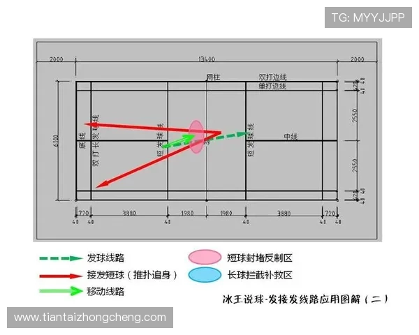 上海羽毛球队整体压制战术解析与实战应用探讨 上海羽毛球队整体压制战术解析与实战应用探讨