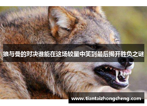 狼与曼的对决谁能在这场较量中笑到最后揭开胜负之谜